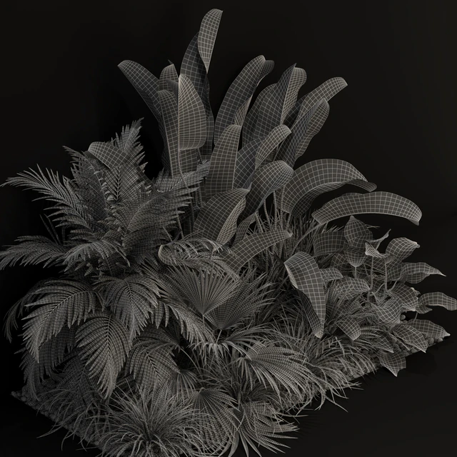Plants collection 237 — Descargar