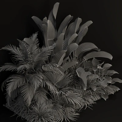 Plants collection 237 — Ver 3
