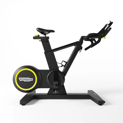 Technogym SKILLBIKE — Ver 2