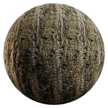 birch bark 001 — Descargar