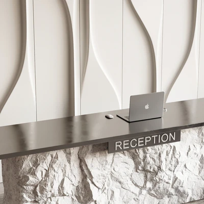 Modern Reception 03 — Вид 2
