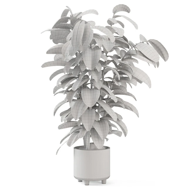 Indoor Ficus Plant in rusty Concrete Pot - Set 966 — Descargar