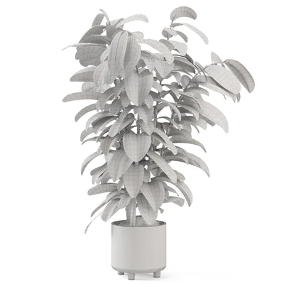 Indoor Ficus Plant in rusty Concrete Pot - Set 966 — Ver 3