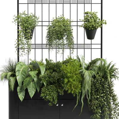 stand wall decor with shelves for the library and closet or showcase plants collection 175 — Ver 4