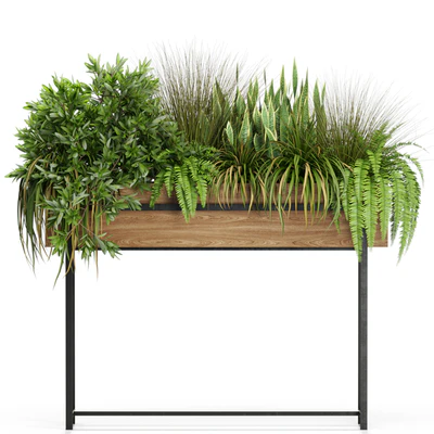 Plants collection 587 — Вид 4