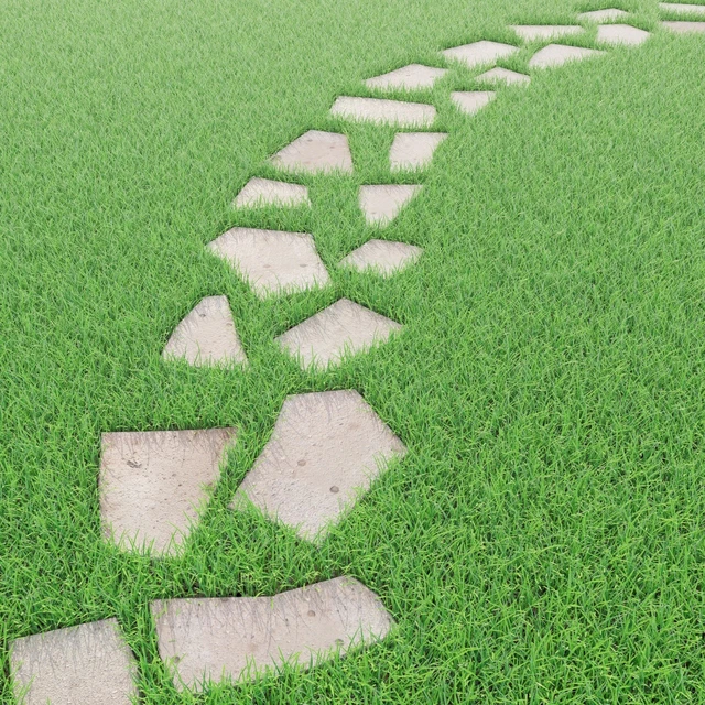 lawn grass with stones — Скачать