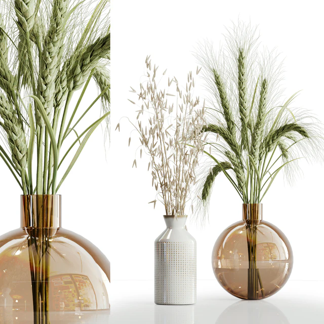 Dry plant set 02 — Descargar