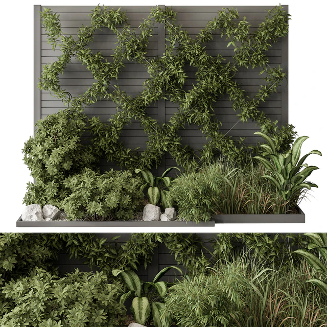 Outdoor Plant Set 429- Ivy on Wall — Descargar