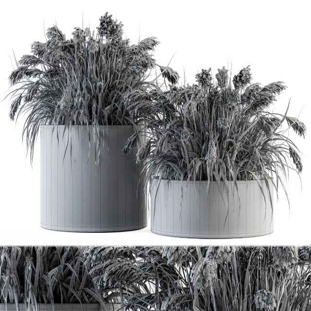 indoor Plant Set 140 - Indian Grass — Descargar