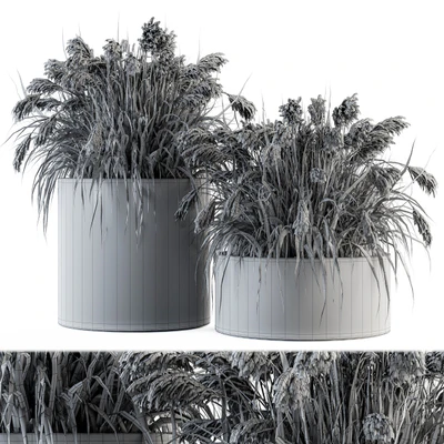 indoor Plant Set 140 - Indian Grass — Ver 4