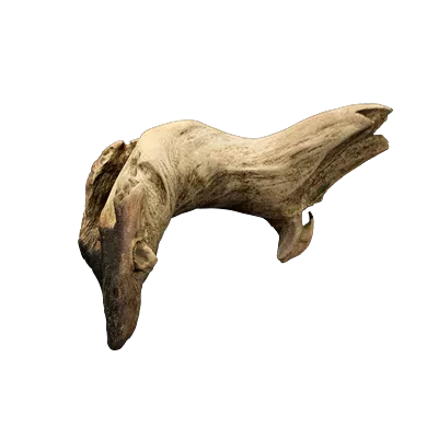 small driftwood piece 001 — Descargar