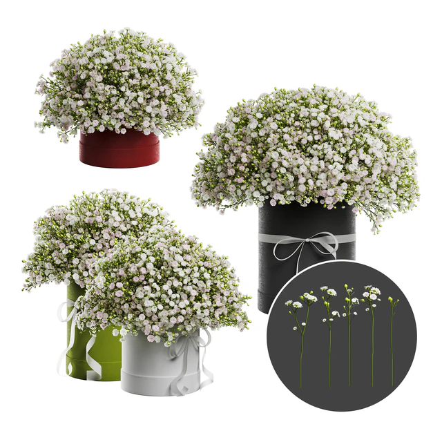 Gypsophila bouquet in a hat box — Descargar