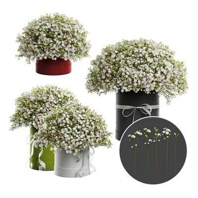 Gypsophila bouquet in a hat box — Ver 1