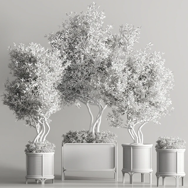 Indoor Plant Set 40 — Скачать