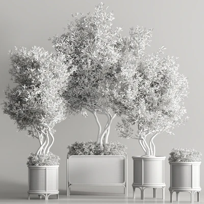 Indoor Plant Set 40 — Вид 4