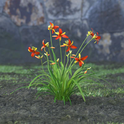 garden flowers 057 — Скачать