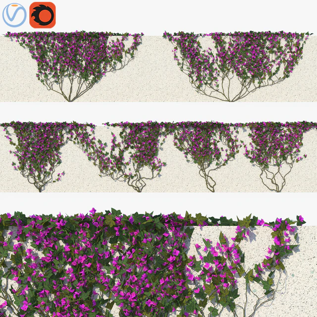Ivy with Flowers 01 — Скачать