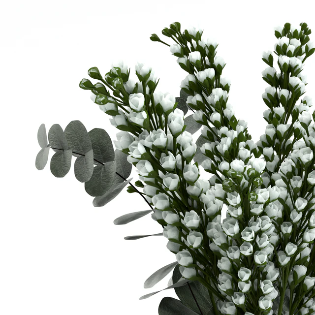 Bouquet — Descargar