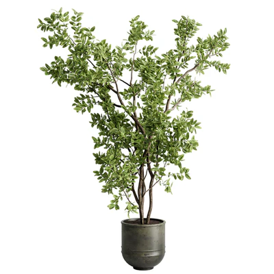 Ficus elastica branch in a metal pot - set indoor plant 618 — Вид 4