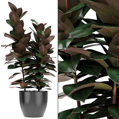 Plant in Pot Flowerpot Exotic Plant — Ver 3