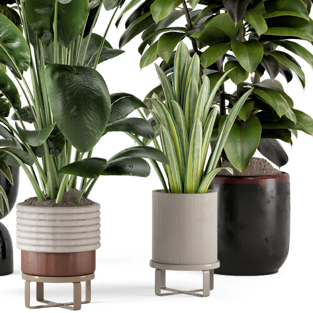 Indoor Plants in Ferm Living Bau Pot Large - Set 983 — Descargar
