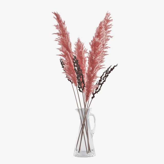 Pampas grass 04 — Descargar