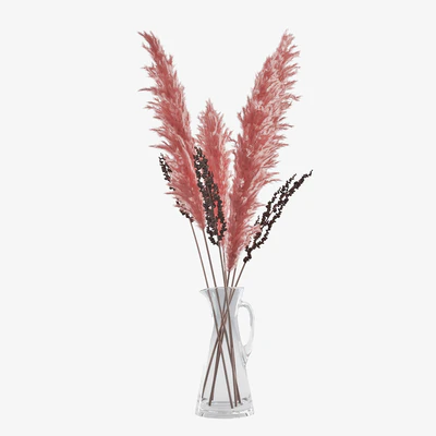 Pampas grass 04 — Ver 3