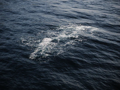 foam 001 — download