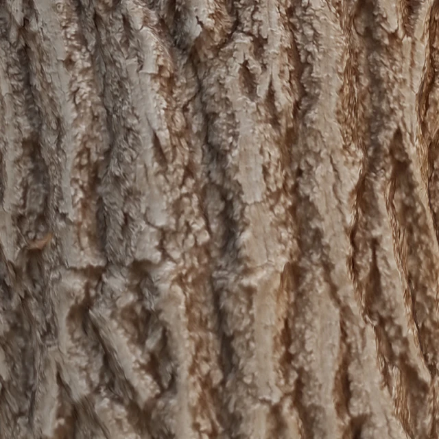 tree trunk 7 — Descargar