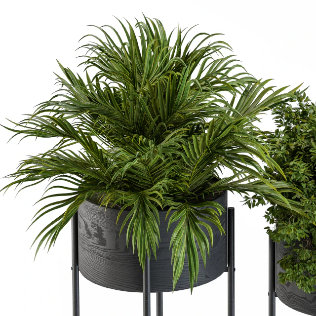 Black round plant box 03 — Скачать