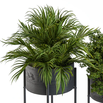 Black round plant box 03 — Вид 2