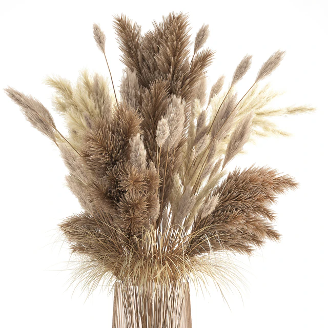 Красивый пышный букет из сухоцветов в вазе с сухими ветками пампас, Кортадерия, белый камыш. 146. — Скачать