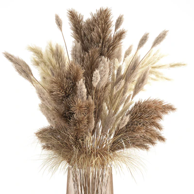 Красивый пышный букет из сухоцветов в вазе с сухими ветками пампас, Кортадерия, белый камыш. 146. — Вид 2