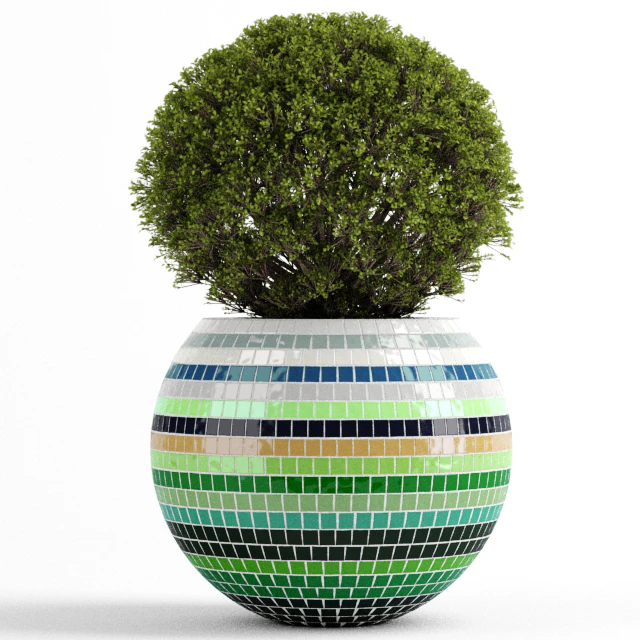 Box tree with Mosaic Pot — Descargar