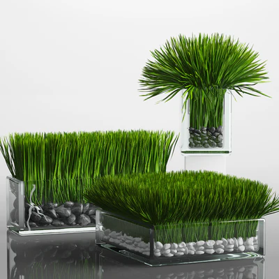 Grass Arrangement — Вид 1