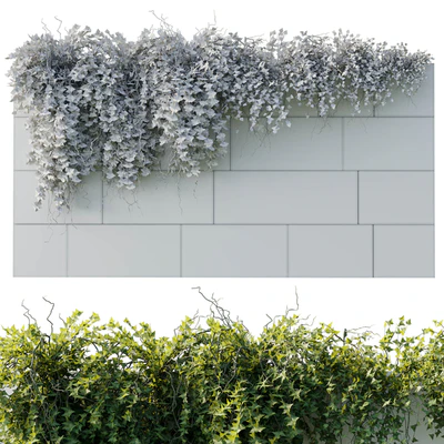 ivy hanging from the wall - outdoor plants set 173 — Ver 3