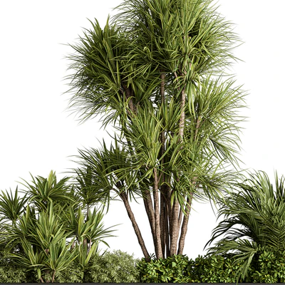Plant Box - Outdoor Plants 580 — Ver 3