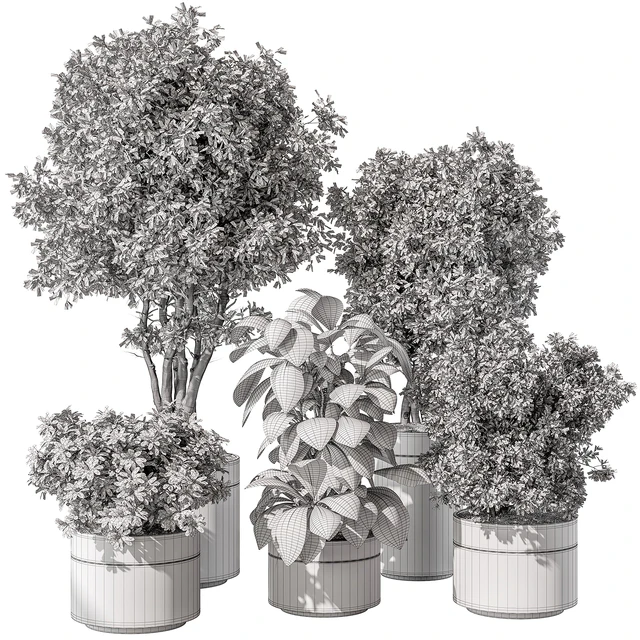 indoor Plant 463 - Tree and Bush — Скачать