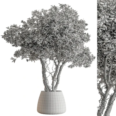 Indoor Plant 605 -Tree in Pot — Ver 2