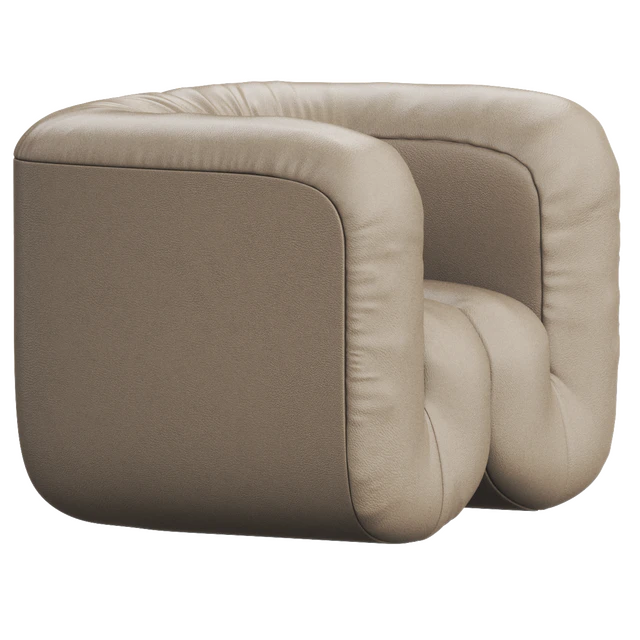 DS-707 Leather armchair By de Sede — Descargar