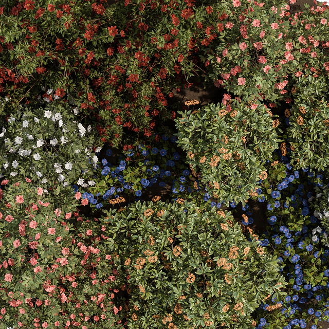 Garden colorful Flower Bush - Set 452 — Descargar