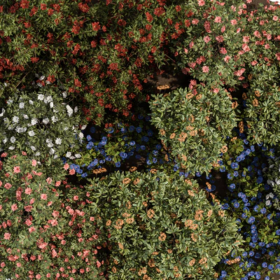 Garden colorful Flower Bush - Set 452 — Ver 3