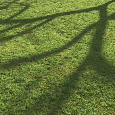 Flat grass — Вид 1