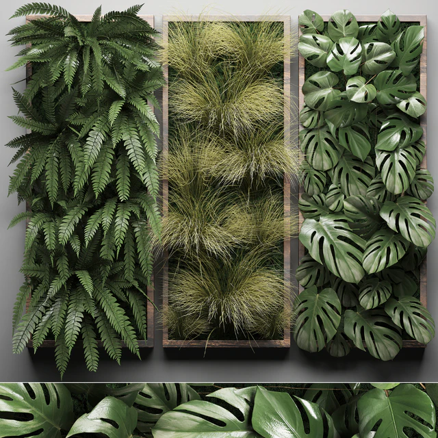 Vertical garden 29. Фитостена, картина, трава, папоротник, монстера, настенный декор, фитомодуль, вертикальный сад — Скачать