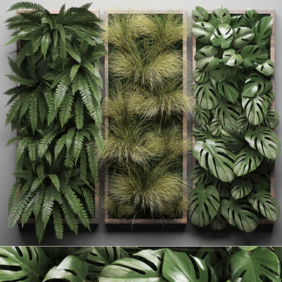Vertical garden 29. Фитостена, картина, трава, папоротник, монстера, настенный декор, фитомодуль, вертикальный сад — Вид 1