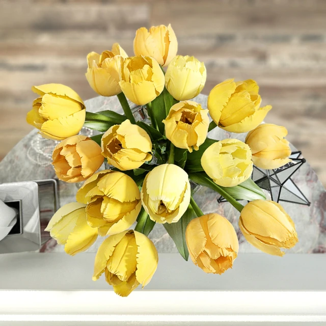 Decorative set with yellow tulips — Descargar