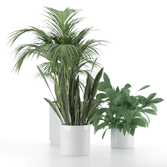 Plant-Set-001 — Descargar
