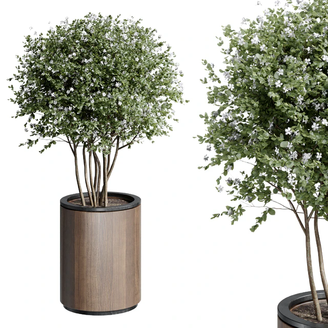 Outdoor Plant 25 — Скачать