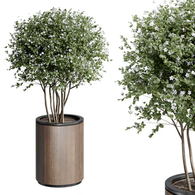 Outdoor Plant 25 — Вид 3