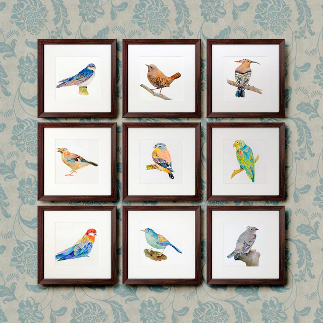 The picture in the frame. 120 Animals Collection — Descargar
